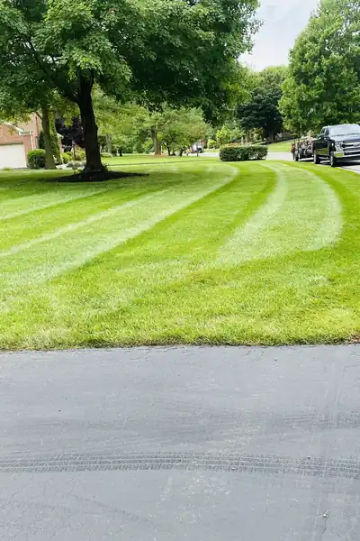 Gaspar Lawncare LLC